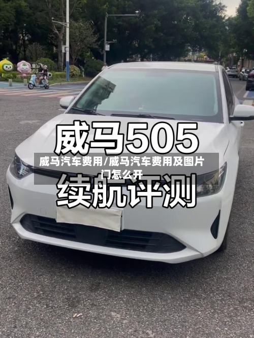 威马汽车费用/威马汽车费用及图片门怎么开-第2张图片