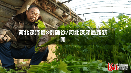 河北深泽增8例确诊/河北深泽最新新闻-第3张图片