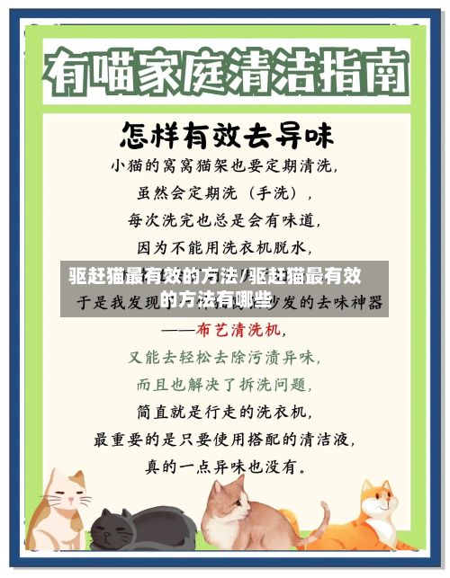驱赶猫最有效的方法/驱赶猫最有效的方法有哪些-第2张图片