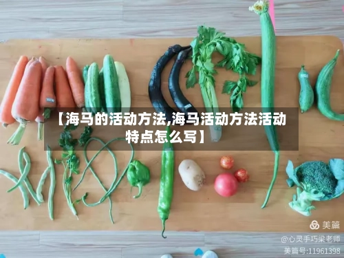 【海马的活动方法,海马活动方法活动特点怎么写】-第3张图片