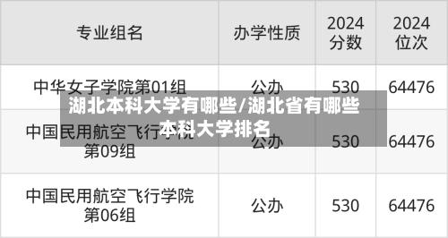 湖北本科大学有哪些/湖北省有哪些本科大学排名-第3张图片