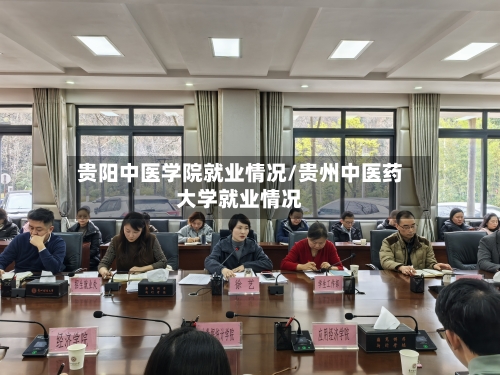 贵阳中医学院就业情况/贵州中医药大学就业情况-第1张图片
