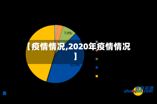 【疫情情况,2020年疫情情况】-第2张图片