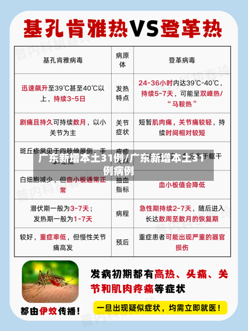 广东新增本土31例/广东新增本土31例病例-第1张图片