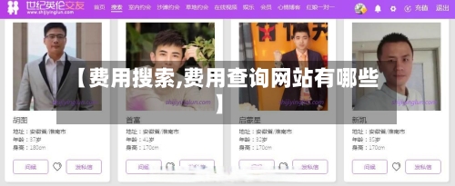 【费用搜索,费用查询网站有哪些】-第3张图片