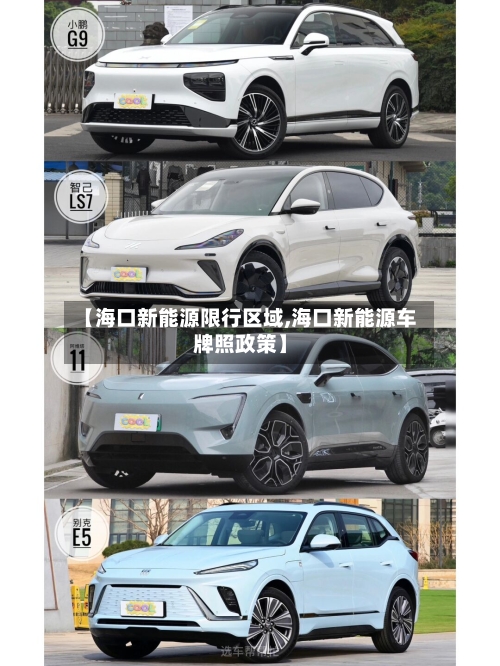 【海口新能源限行区域,海口新能源车牌照政策】-第2张图片