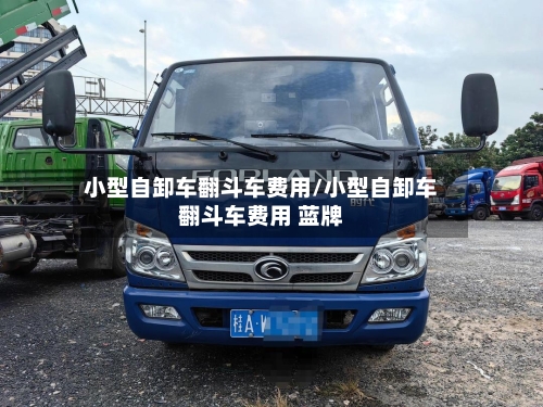小型自卸车翻斗车费用/小型自卸车翻斗车费用 蓝牌-第2张图片