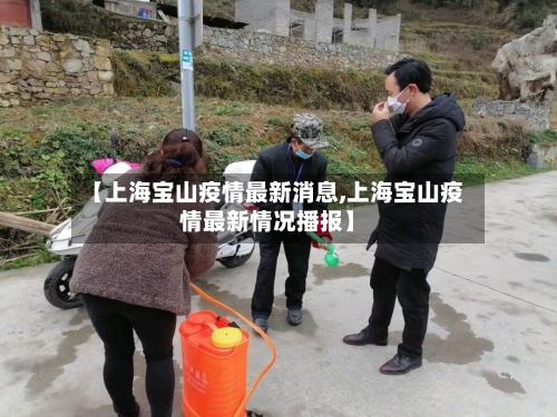【上海宝山疫情最新消息,上海宝山疫情最新情况播报】-第1张图片