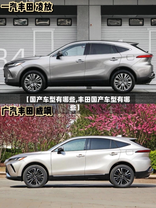 【国产车型有哪些,丰田国产车型有哪些】-第1张图片