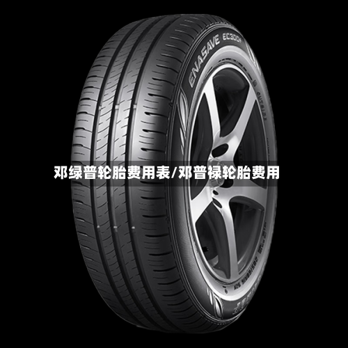 邓绿普轮胎费用表/邓普禄轮胎费用-第3张图片