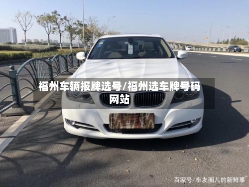 福州车辆报牌选号/福州选车牌号码网站-第3张图片