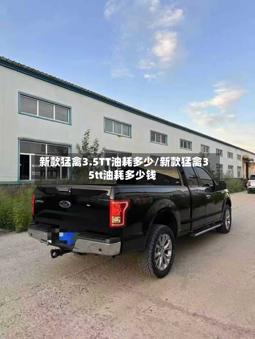 新款猛禽3.5TT油耗多少/新款猛禽35tt油耗多少钱-第2张图片