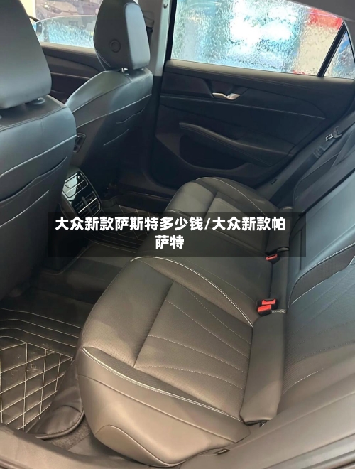 大众新款萨斯特多少钱/大众新款帕萨特-第3张图片