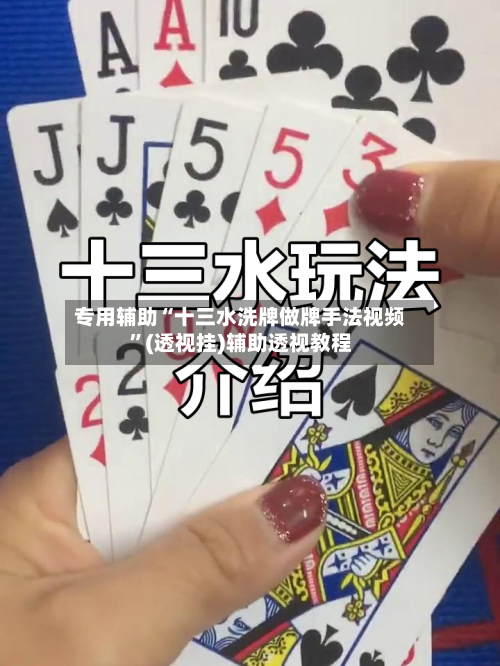 专用辅助“十三水洗牌做牌手法视频”(透视挂)辅助透视教程-第3张图片
