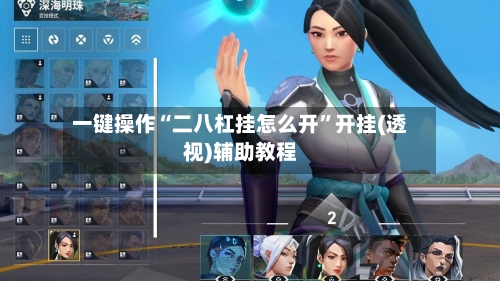 一键操作“二八杠挂怎么开”开挂(透视)辅助教程-第2张图片