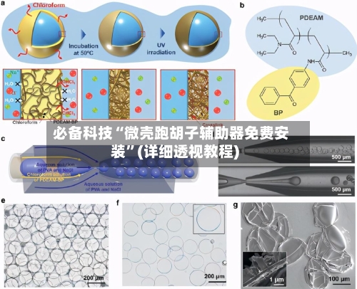 必备科技“微壳跑胡子辅助器免费安装”(详细透视教程)-第3张图片