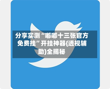分享实测“嘟嘟十三张官方免费挂	”开挂神器{透视辅助}全揭秘-第2张图片