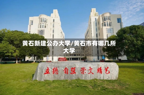 黄石新建公办大学/黄石市有哪几所大学-第2张图片