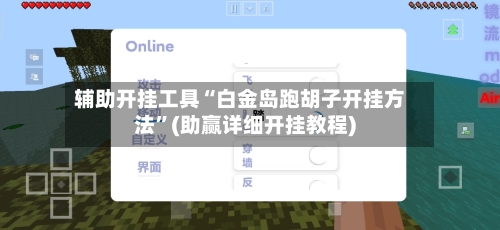 辅助开挂工具“白金岛跑胡子开挂方法”(助赢详细开挂教程)-第2张图片