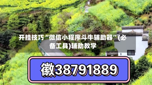 开挂技巧“微信小程序斗牛辅助器	”(必备工具)辅助教学-第1张图片