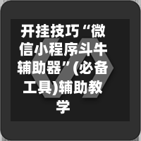 开挂技巧“微信小程序斗牛辅助器”(必备工具)辅助教学-第2张图片