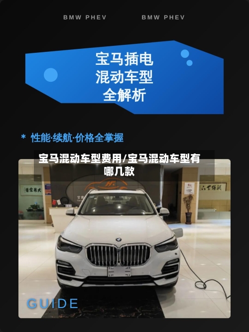 宝马混动车型费用/宝马混动车型有哪几款