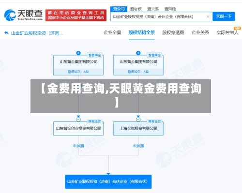 【金费用查询,天眼黄金费用查询】