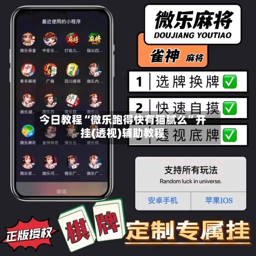 今日教程“微乐跑得快有猫腻么”开挂(透视)辅助教程-第3张图片