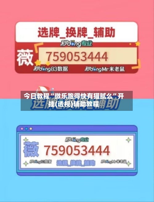 今日教程“微乐跑得快有猫腻么	”开挂(透视)辅助教程-第2张图片