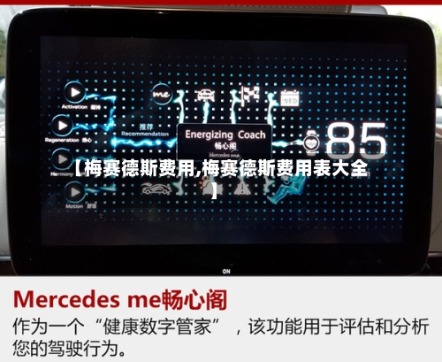 【梅赛德斯费用,梅赛德斯费用表大全】-第3张图片