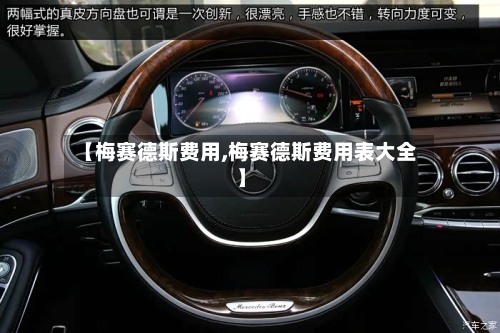 【梅赛德斯费用,梅赛德斯费用表大全】-第2张图片
