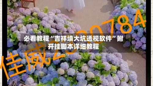 必看教程“吉祥填大坑透视软件”附开挂脚本详细教程-第2张图片