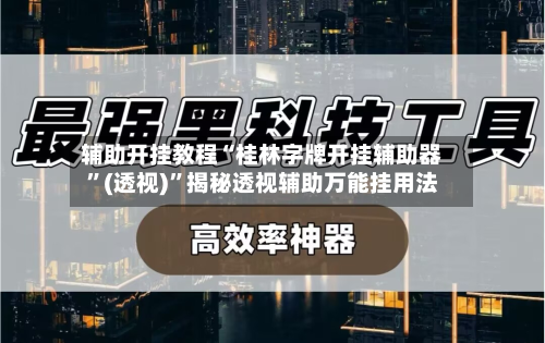 辅助开挂教程“桂林字牌开挂辅助器”(透视)”揭秘透视辅助万能挂用法-第2张图片