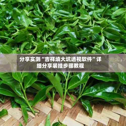 分享实测“吉祥填大坑透视软件	”详细分享装挂步骤教程-第1张图片