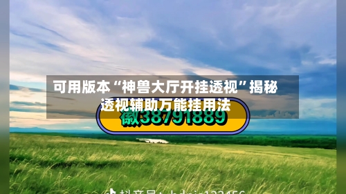 可用版本“神兽大厅开挂透视”揭秘透视辅助万能挂用法-第1张图片