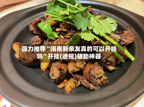强力推荐“闽南新亲友真的可以开挂吗”开挂(透视)辅助神器-第2张图片