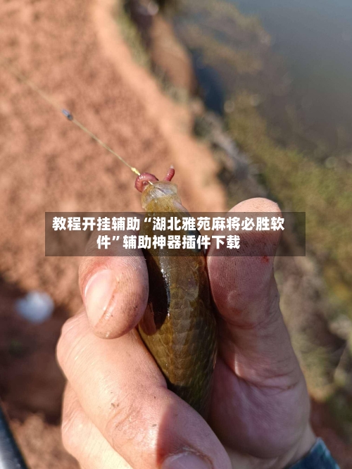 教程开挂辅助“湖北雅苑麻将必胜软件”辅助神器插件下载-第2张图片