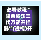 必看教程“陕西微乐三代万能开挂器	”(透视)开挂辅助脚本+详细开挂安装教程-第1张图片