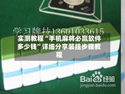 实测教程“手机麻将必赢软件多少钱”详细分享装挂步骤教程-第3张图片