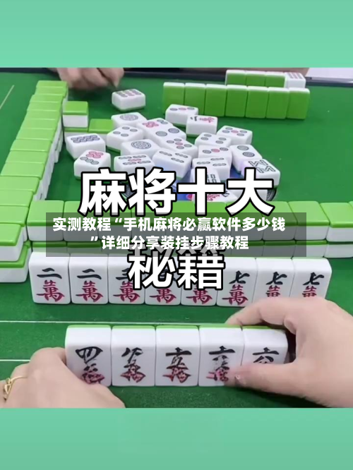实测教程“手机麻将必赢软件多少钱	”详细分享装挂步骤教程-第2张图片