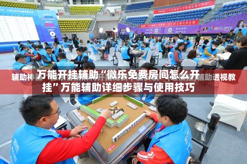 万能开挂辅助“微乐免费房间怎么开挂”万能辅助详细步骤与使用技巧-第2张图片