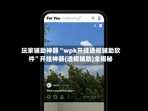 玩家辅助神器“wpk开挂透视辅助软件”开挂神器{透视辅助}全揭秘-第2张图片