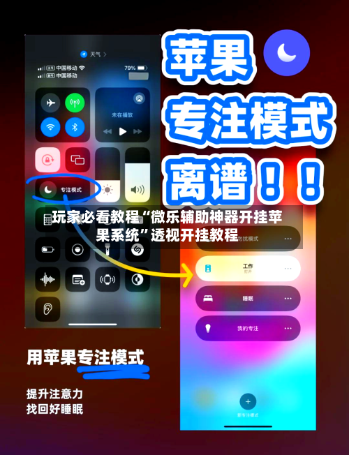 玩家必看教程“微乐辅助神器开挂苹果系统”透视开挂教程-第1张图片