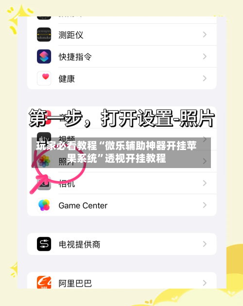 玩家必看教程“微乐辅助神器开挂苹果系统	”透视开挂教程-第2张图片
