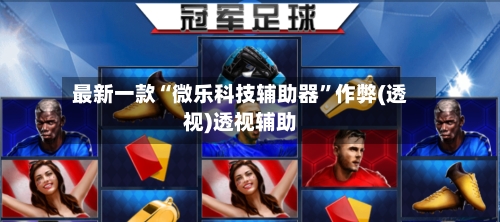 最新一款“微乐科技辅助器	”作弊(透视)透视辅助-第2张图片