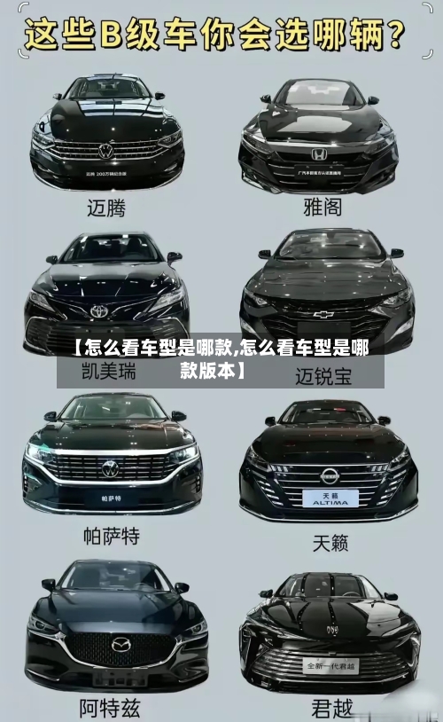 【怎么看车型是哪款,怎么看车型是哪款版本】-第1张图片