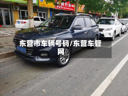 东营市车辆号码/东营车管网-第1张图片
