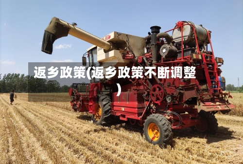 返乡政策(返乡政策不断调整)-第2张图片