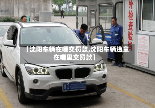 【沈阳车辆在哪交罚款,沈阳车辆违章在哪里交罚款】-第1张图片