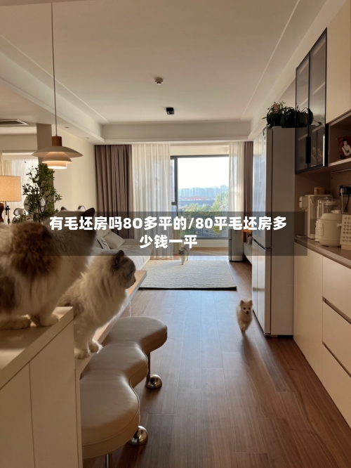 有毛坯房吗8O多平的/80平毛坯房多少钱一平-第2张图片